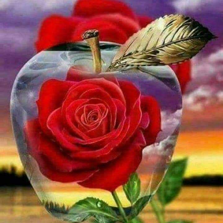 MasryaAna15's tweet photo. @BaytMasrawyaoff @didamasr @MissEgypt1616 @Lectures19 @khader_amira @nesaamasr @nivin_abaza777 @elkhema @nanaelzoghby1 @StarsNessa @support2s @ewcglobal20 @SYuons @support144 @nolyali3 @NesaaVideos @mamayomna @fatemaaaaa11 @lama_ch88 https://t.co/z34K8WjSBf