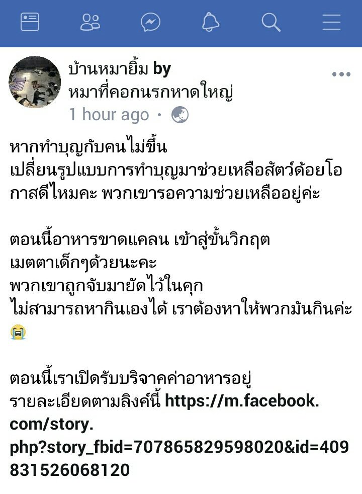 bbh'ㅅ' tweet media