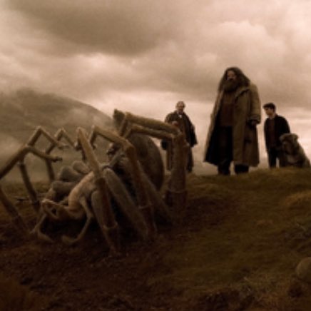 FamiliaPotter7's tweet photo. Sobre Funerais:

O que eu queria ver | O que tem no filme https://t.co/5znFWLIjFh