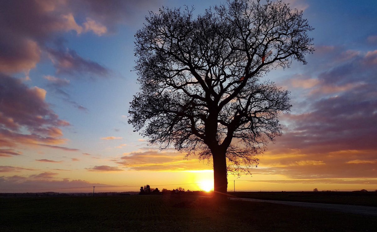 Sunday sunset. 😊 #sunset #clouds #sky #loveukweather #Obthorpe #Thurlby #Lincolnshire ⁦<a href="/LincsSkies/">Lincolnshire Skies</a>⁩ ⁦<a href="/RutlandSkies/">Rutland Skies</a>⁩ ⁦<a href="/DeepingsSkies/">The Deepings Skies</a>⁩ ⁦<a href="/StormHour/">#StormHour</a>⁩ ⁦<a href="/StormchaserUKEU/">WEATHER/ METEO WORLD</a>⁩ ⁦<a href="/EarthandClouds/">Earth and Clouds</a>⁩ <a href="/metoffice/">Met Office</a> ⁦<a href="/BBCWthrWatchers/">BBC Weather Watchers</a>⁩ ⁦<a href="/ThePhotoHour/">#ThePhotoHour</a>⁩