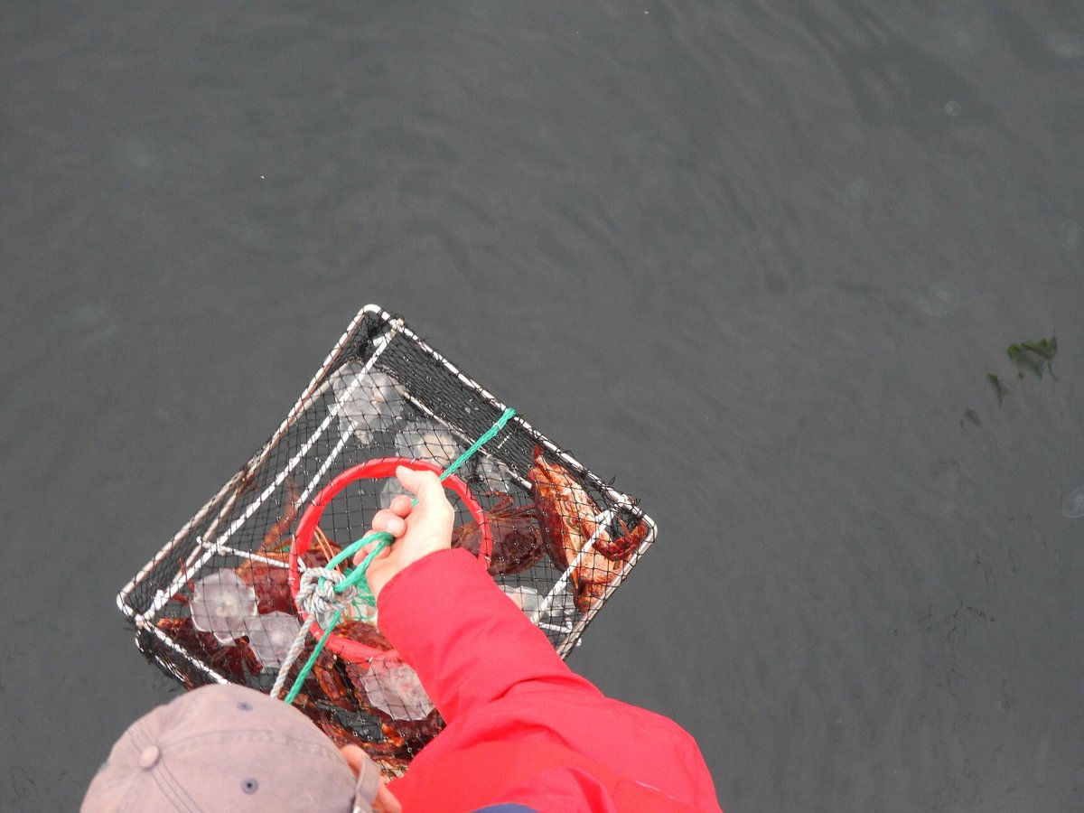 Stall680news's tweet image. From #Sea to #Suppertable #VancouverIsland,#Athena,#bicoastal