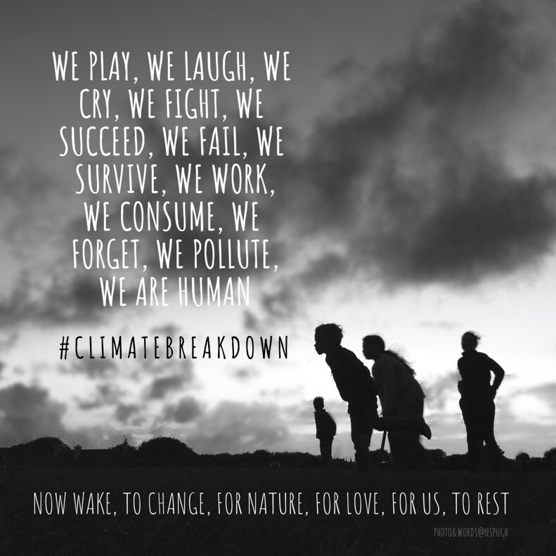 🌎🍎🐝🌳🌸 🍃💚🍃🌳👩‍🌾💪🏾 tweet media