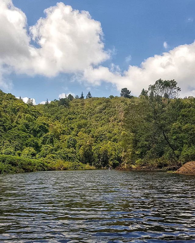 gotravelbug's tweet photo. Paddling out on the Hoogekraal river....
#gardenroute #paddle #river #summer #howzitsouthafrica #visualstoryteller #light #moments #skypainter #clouds #cloudious #skypainters #Skyexing #mylifemyway #nature #naturephotography https://t.co/sFREGc0wBd https://t.co/V6pB4V9b4U
