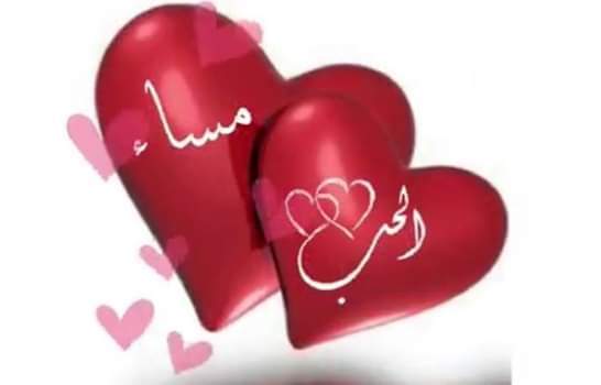 MasryaAna15's tweet photo. @BaytMasrawyaoff @didamasr @MissEgypt1616 @Lectures19 @khader_amira @nesaamasr @nivin_abaza777 @elkhema @nanaelzoghby1 @StarsNessa @support2s @ewcglobal20 @SYuons @support144 @nolyali3 @NesaaVideos @mamayomna @fatemaaaaa11 @lama_ch88 مساء الخير والسعاده على كل عظيمات بلدى من #ائتلاف_نساء_مصر اصحابى واخواتى الى عشت معاهم احلى ايام عمرى فى حب مصر وخدمتها كنت ومازلت وساظل احترمكم واحبكم جميعا https://t.co/ujXwU3CQRh