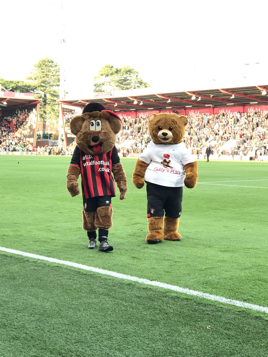 #afcb may not have won today but we’ve had a great time and our mascot #GullyBear has done us proud. #bearfriends @PHCharity @Poole_Hospital @afcbournemouth #supportlocal #charitypartners