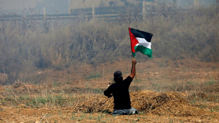 میلاد+🌹🍉 🇮🇷 tweet media