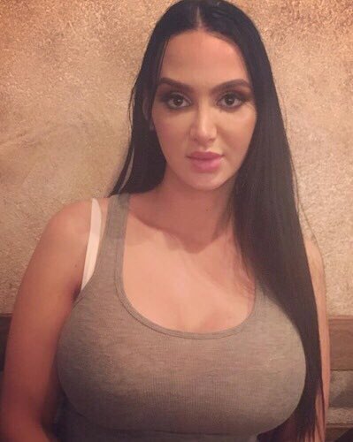 Amy Anderssen On Twitter NYC Nov 25 27 Detroit Nov 28 30 Chicago Dec amy-anderssen-on-twitter-nyc-nov-25-27-detroit-nov-28-30-chicago-dec