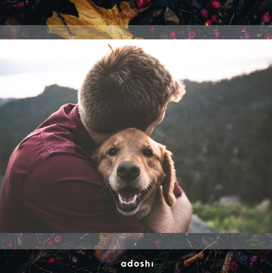 AdoshiCo's tweet photo. New Blog Post to be up on our site today:  It’s Sustaining Cats and Dogs 🐱🐶 https://t.co/4kRXAHh2un