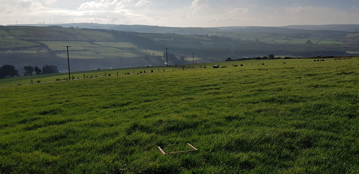 Robo_Mike's tweet photo. Lovely morning for a closing cover with @PastureBase and @agrinetonline this morning #grass2019 https://t.co/kCko9zIxWW