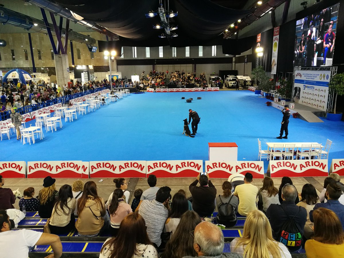 📝 La séptima edición de #MiMascotaMLG reúne a más de 13.000 visitantes en su convocatoria más internacional ow.ly/25qg30mK4Qa Talleres, charlas, demostraciones o exhibiciones, entre otras actividades, han sido protagonistas este fin de semana en <a href="/Fycma/">Fycma</a> .