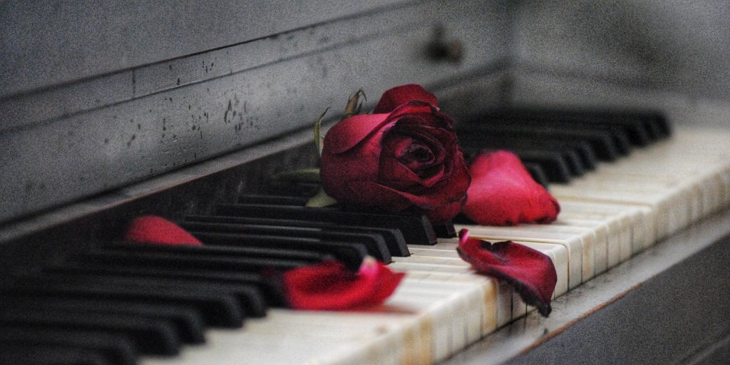 Enna ღ tweet media