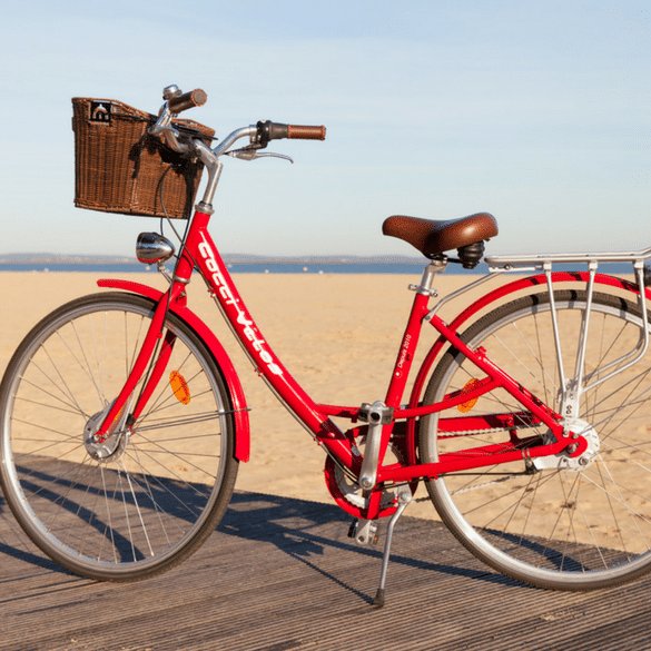 Envie d'un vélo électrique? Voici nos quelques conseils d'achat pour que votre engin convienne parfaitement à vos besoins. 🚲 seniorsmag.be/bien-etre/661/… 🚴‍♀️