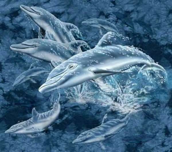 questerosbcn's tweet photo. ¿Cuántos delfines hay en la foto?

Escape Room en Barcelona · Juegos De Mente · Desde 5€ pax · ¡60 minutos de inmersión total! · Otra realidad · 2-5(6) jugadores · https://t.co/G9jnXZNNNu ¡Reserva Online! · Tel: 937607946

#questeros #escaperoom #roomescape #juegoescape #quest https://t.co/OkRF9dfMQ3