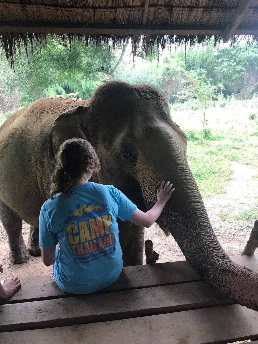 LeighCampCoUk's tweet photo. Can't wait to be back in Thailand and cuddling these friendly giants!ππ @CampThailand @CampCoUK #elephants #friendlygiants #CampThailand https://t.co/juHbkYksAV
