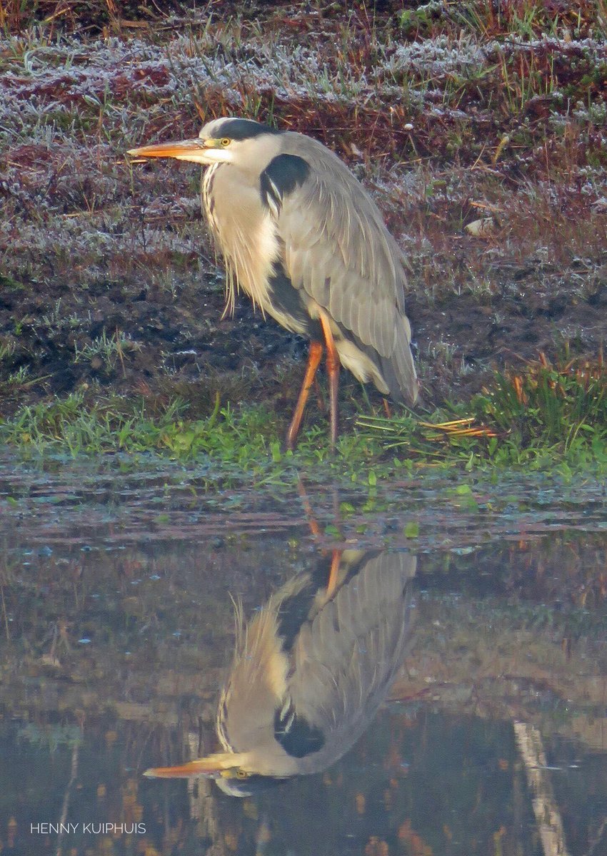 De buurtschap “het Tusveld” in herfstkleuren...<a href="/Gemeente_Almelo/">Gemeente Almelo</a>
