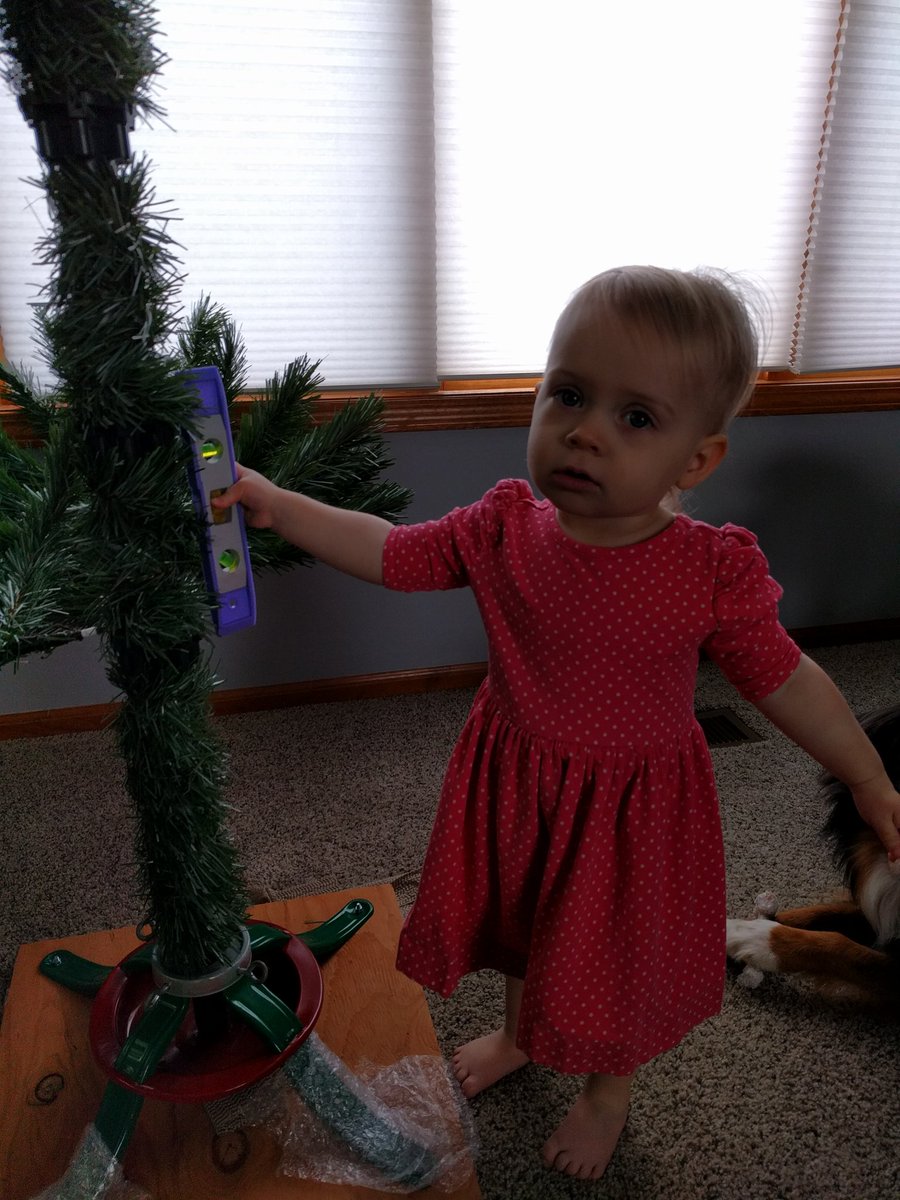 E_LoudNClear's tweet photo. She did this all because she saw me do it. #LevelTree #DaddysLittleHelper #FutureEngineer. Please tell me at least some of my other engineers on Twitter get the level out for their Christmas tree? @alex_louden https://t.co/EdjdShkjQv