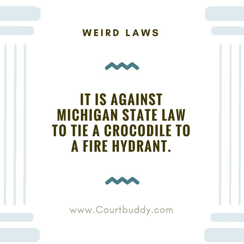lawchamps's tweet photo. Sorry, but the only crocโs weโve ever seen in Michigan are made by @crocs ...
#roamfree #crocsgonewild #reptiles #Detroit #GrandRapids #Lansing #weirdlaws #interestingfact #factoftheday #legaltech #CourtBuddy #law #LegalForEveryone #affordablelegalservices โ at Michigan https://t.co/zitN9xW7g5