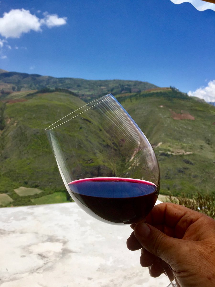 ApuWinery's tweet photo. Just 2 months after harvest, our Cabernet Sauvignon is swoon-worthy. It shows an incredible range of aromas of huckleberry, vanilla and oak (even though it hasn't aged in barrels). https://t.co/N40MjQZQAF