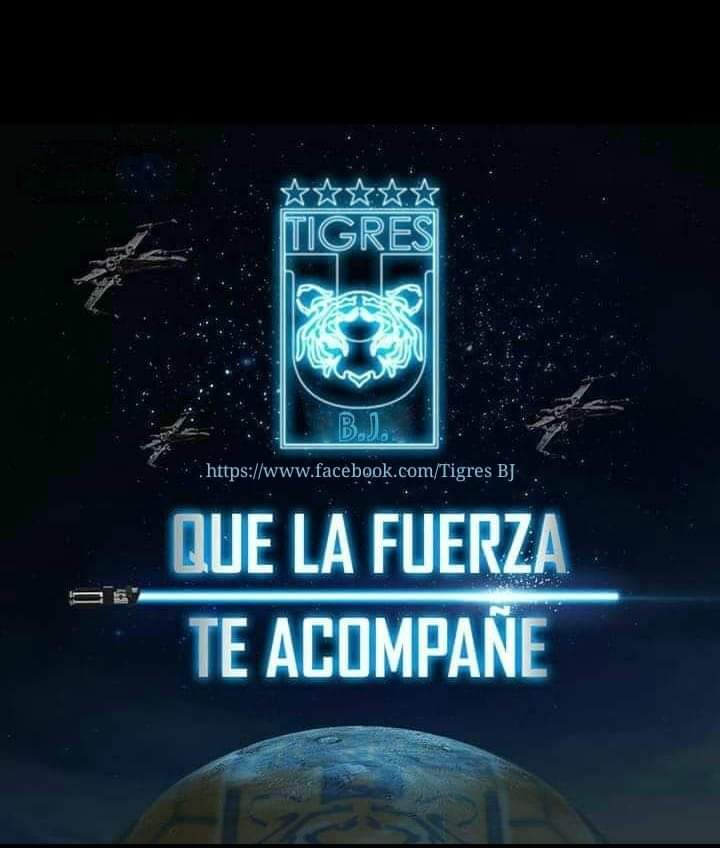 tigres_BJ's tweet photo. #tigres_BJ https://t.co/gm6FJvLpjN