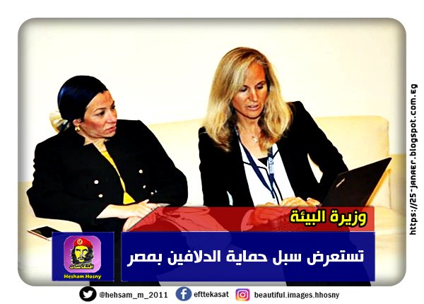 وزيرة البيئة تستعرض سبل حماية الدلافين بمصر