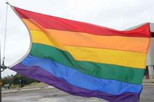 Ottawa to host its first LGBTQ+ expo next summer bit.ly/2TGoWOh #ottnews https://t.co/fjNuL0WCAh