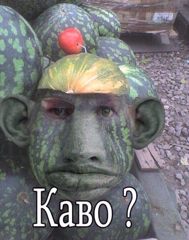 безграмотность в социальных сетях. пожилой арбуз глад. орфографический инфаркт мем. кролл валакас. глад валакас фотолупы.