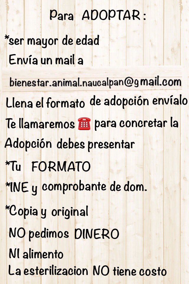 AdoptameNaucal1's tweet photo. A los 3 meses me trajeron a dormir que fui un 🎁 y no podían cuidarme y pues nadie pregunta por mi! Me ayudan tengo #37DiasNosVamos para encontrar familia #ExAntirrabicoNaucalpan #AdoptaYCambiaSuVida #EstamosSalvandoVidas @azelarobinson @diana_dfc @XavierVelasc0 @chemo_the_emo https://t.co/IS0zzVg04B