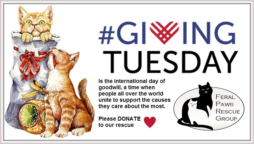 feral paws rescue group