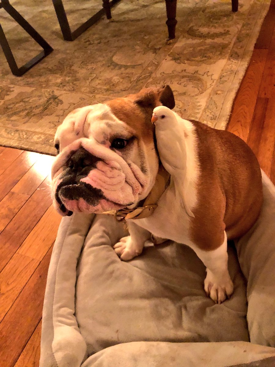 brittney_reyes's tweet image. update: still best friends!!