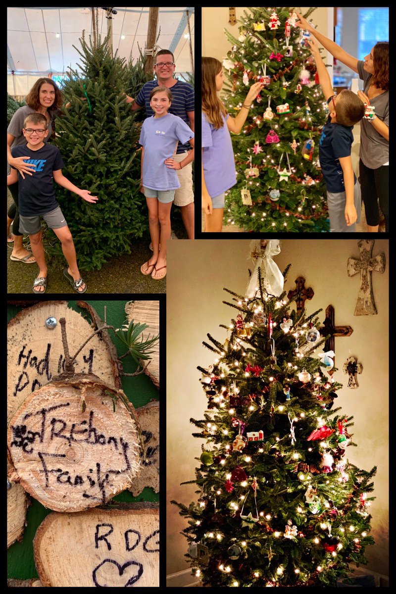 Michael Trebony tweet media