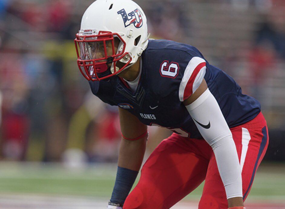 Logan VanEnkevort tweet media