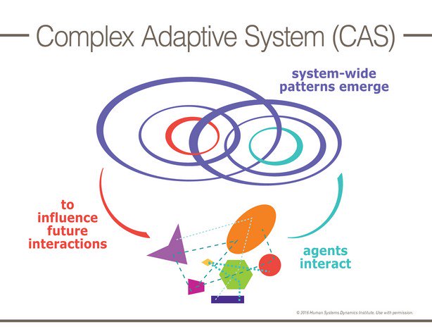 HSDInstitute's tweet image. What is emerging for you and your team? #adaptation #AdaptiveSystems #complexity #ComplexSystems 
hsdinstitute.org/resources/comp…