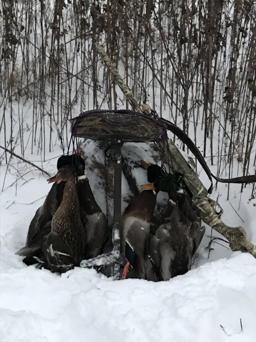 bdpeak's tweet photo. Decoying mallards in a blizzard,what a rush! #imanidiot #windyashell #luvdit https://t.co/NEKx7NNwl4