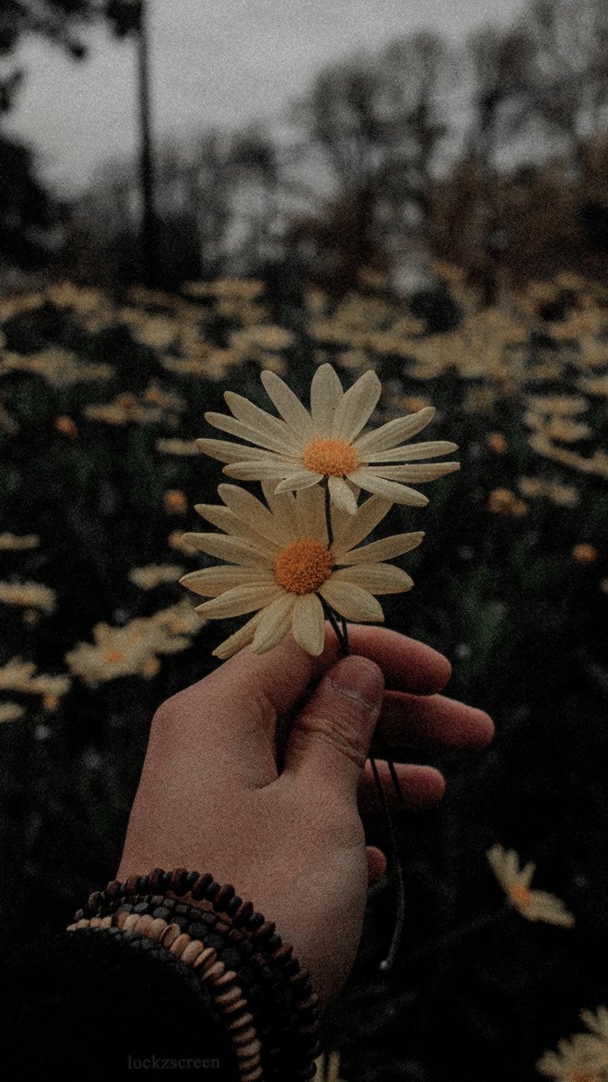lockzscreen's tweet photo. 🦋Random.
-Rt if you save 
-Fav if you like
-Screenshot if you use
-ᴘɪᴀ☈ https://t.co/FolyQcc1l4