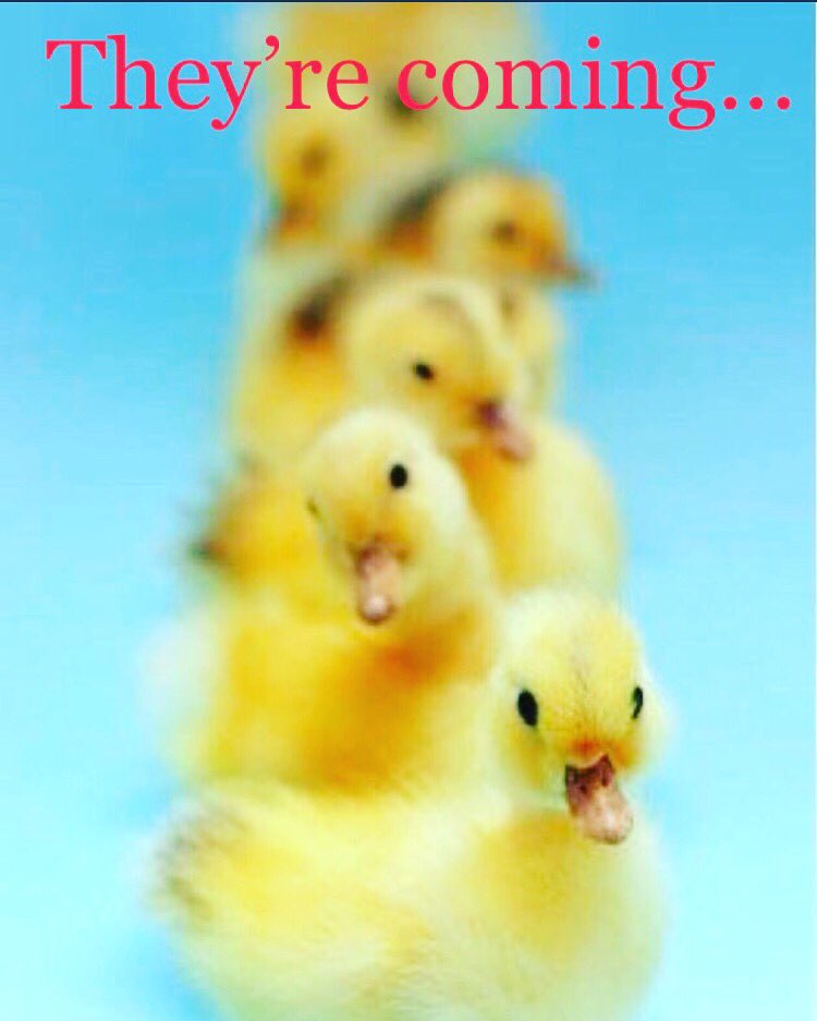 Chi Chapter tweet media