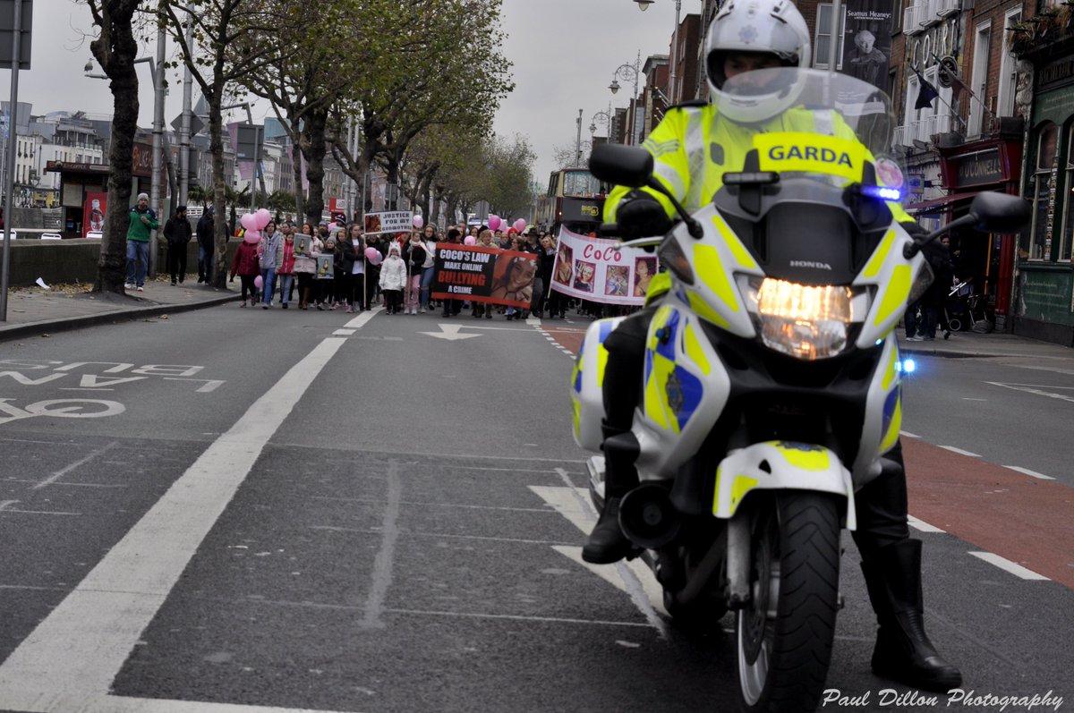 Paul Dillon Photography tweet media