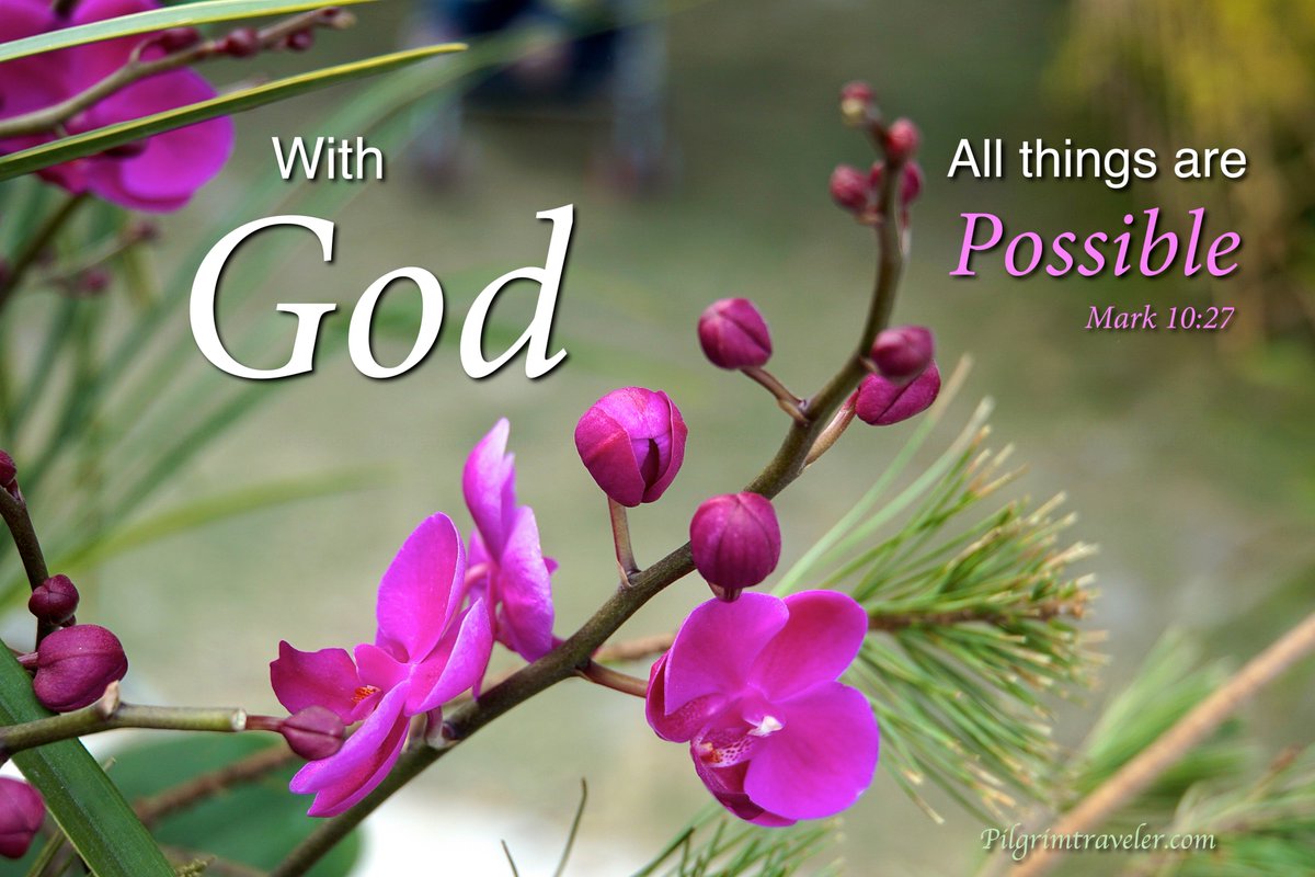 Pilgrimtravelr's tweet photo. Mark 10:27 "With God all things are Possible." https://t.co/m2ugaHrLw1 https://t.co/xjlfIfp2WD