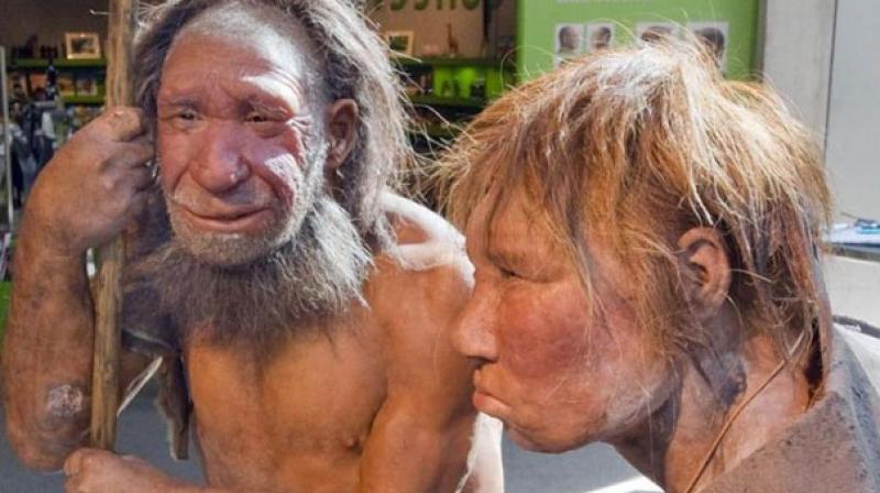 yahuahisyahuah's tweet photo. @MistressCnLA The President of the United States is a Neanderthal Caveman😓

#YAHUAH #YAHUSHA #RUACHHAKODESH #esau #edom #DonaldTrump #usa #Amerikkka #whitepeople #neanderthal #cainite #cain https://t.co/G1UMmI8Fqn
