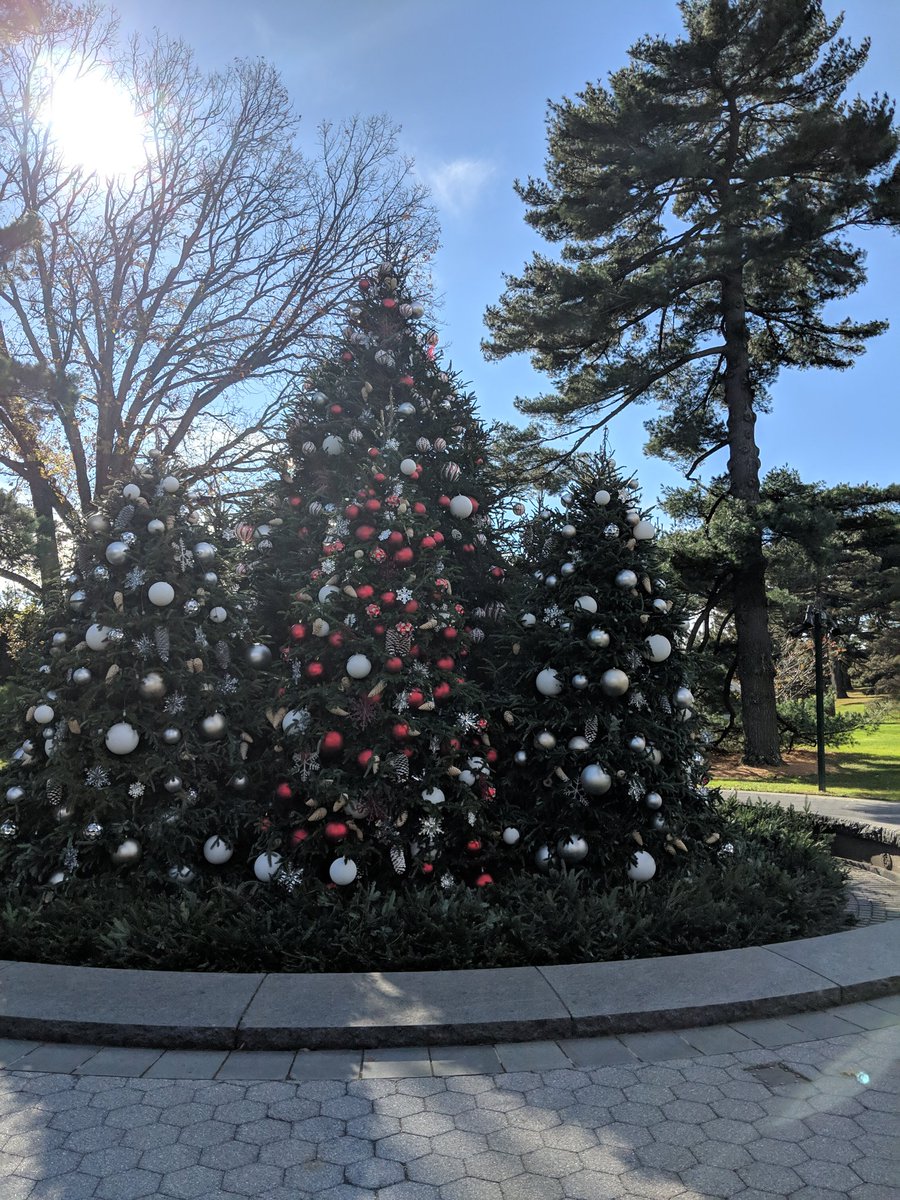 ElhoimLeafar's tweet photo. Winter/Yule/Christmas is coming... ❄️⛄💙
You can feel the powerful Spirit of Yule walking on the light and sleeping in the shadows under the trees 😁 #Yule #Yuletime #Yulelog #Yuleiscoming #YuleSpirit #WinterWonderland #ChristmasSpirit #ChristmasTree #PagansofTwitter https://t.co/qQ95SmMoxu