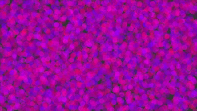 Sardine52362389's tweet image. #codingrainbow strikes again :)