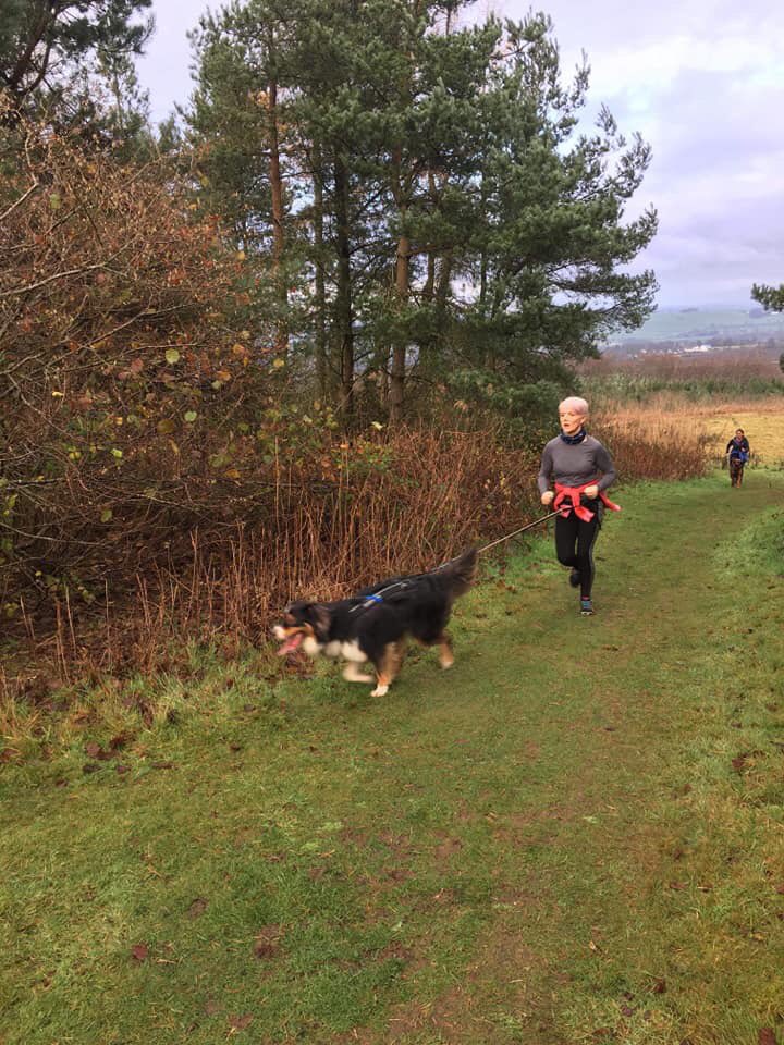 SusanMcGhee123's tweet image. Canicrossing with our crazy crew, aka Scout and Toby 🐶🐶 #Canicross #fitdogs #runningwithdogs #canifit