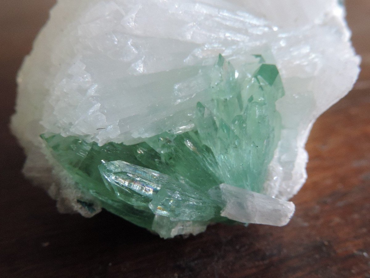 DLVjewel's tweet photo. Superbe fleurs d' Apophyllite verte sur une Stilbite d'un blanc écarlate.  https://t.co/xRULCrdQgO #greenapophylliteflower #apophyllite #stilbite #vertmenthedouce #mineralflowers #mintgreen #maharashtraindia #vertmenthe  #purecrystal #lithotherapie #lithotherapy #stone https://t.co/D6vzH8l3KQ