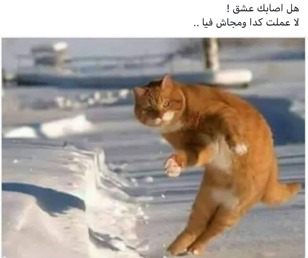 Fatma75Www's tweet photo. 😂😂😂😂😂 https://t.co/LAavpEIYeM