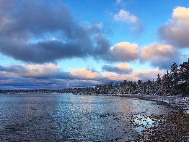 Josh Collesano tweet media