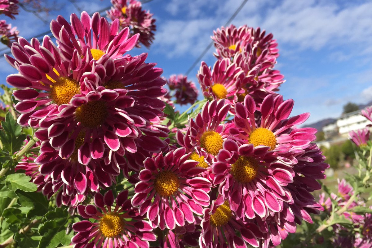 ٩(*´︶`*)۶おはよ〜♬ございます🍀

11月も最終週ですね💦

月日が経つのがめっちゃ早い😅

ほんと１日１日を大切に生きたいですね(*ˊᵕˋ*)♡

今週もよろしくお願いします😊💖

自分を大切に✨
家族を大切に✨

そして自分にかかわる全ての人を大切に(*ˊ˘ˋ*)｡♪💖

今日も笑顔😊でスタートしよう🌸✨