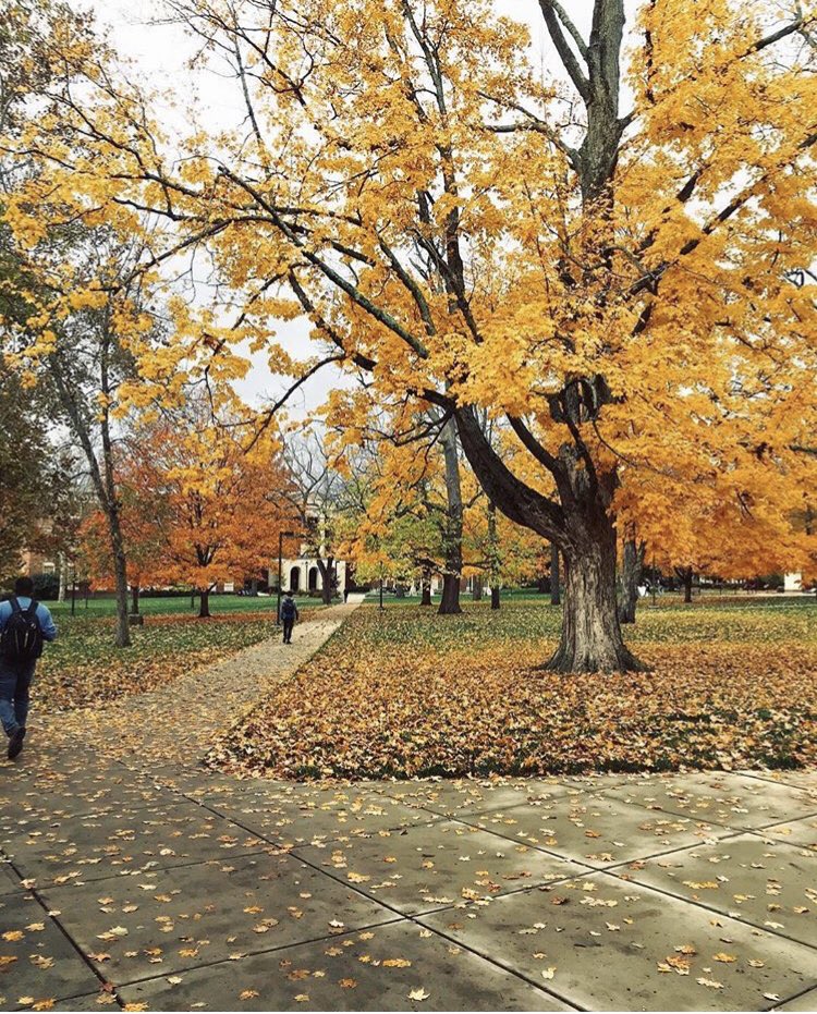 miamiuniversity's tweet photo. Welcome back to campus! 🍁(Photo: @kyle_thecarrot) #MiamiOH #FallforMiami https://t.co/TLuD4PQ8gI