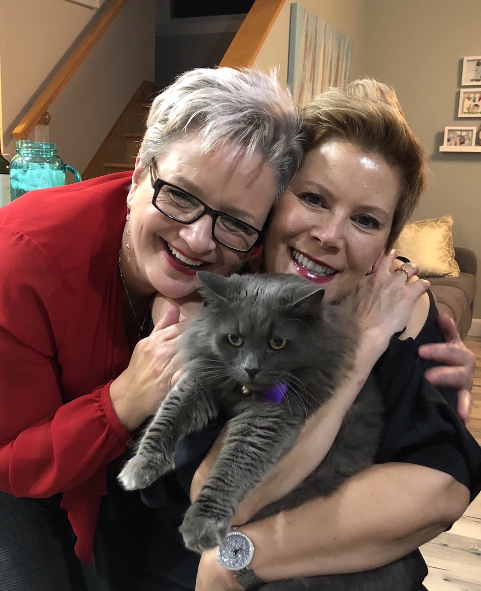 SherryBlinkhorn's tweet photo. Family photo with the fur baby. Out baby all dressed up for our dinner party with his bow tie #mrmark #catswithbowtiesaredabomb #CutestPet #cutestcatever #catsofinstagram #CatsOfTwitter https://t.co/elTMn7NqbV