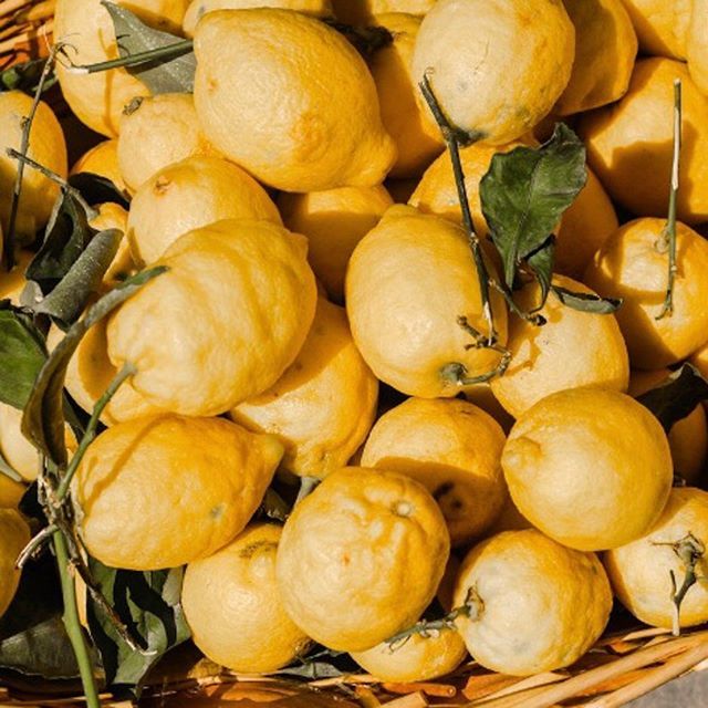 fernandpetal.ca tweet media