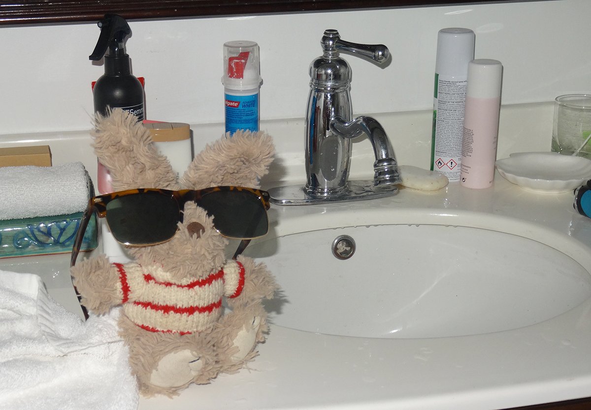 Mr_Rabbit_1's tweet photo. On my hols in #Barbados at @TheClubBarbados #Holetown, getting ready to soak up some rays #rabbitontour https://t.co/vOdOa31qGZ