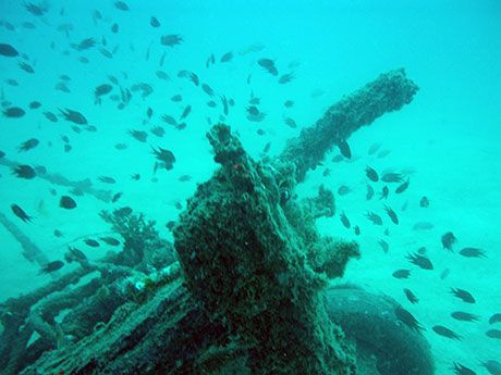 Where is the best diving in #Malaysia?
buff.ly/2AfSVn1
#divingsite #divingspot #divingdestination #scubadiving #topdestination